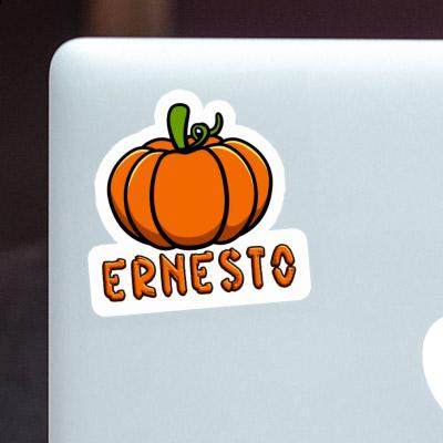 Sticker Ernesto Kürbis Notebook Image