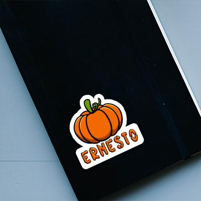 Sticker Ernesto Kürbis Gift package Image