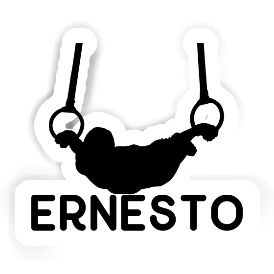 Ernesto Sticker Ringturner Notebook Ernesto Sticker Ringturner Notebook Image