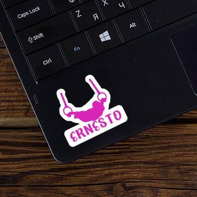Sticker Ringturnerin Ernesto Notebook Sticker Ringturnerin Ernesto Notebook Image