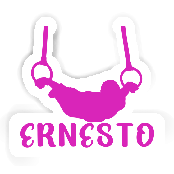 Sticker Ringturnerin Ernesto Notebook Sticker Ringturnerin Ernesto Gift package Image