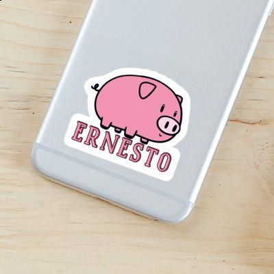 Aufkleber Ernesto Schwein Notebook Aufkleber Ernesto Schwein Gift package Image