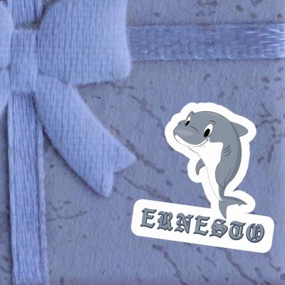 Aufkleber Hai Ernesto Gift package Image