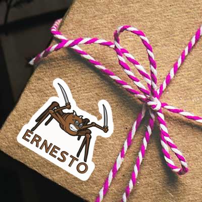 Kampfspinne Aufkleber Ernesto Notebook Kampfspinne Aufkleber Ernesto Gift package Image