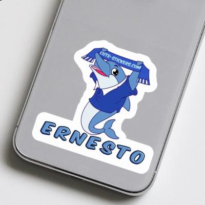 Autocollant Dauphin Ernesto Notebook Autocollant Dauphin Ernesto Gift package Image