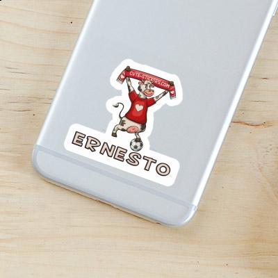 Kuh Sticker Ernesto Notebook Kuh Sticker Ernesto Gift package Image