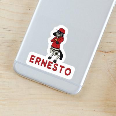 Autocollant Zebra Ernesto Gift package Image