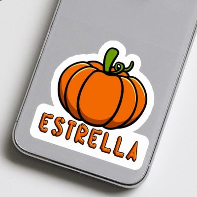 Autocollant Estrella Courge Laptop Image
