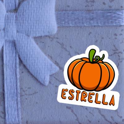 Kürbis Sticker Estrella Notebook Kürbis Sticker Estrella Gift package Image