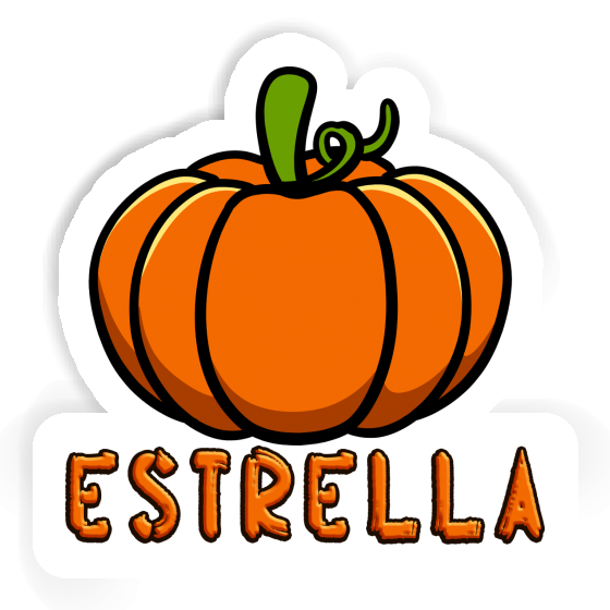Kürbis Sticker Estrella Notebook Kürbis Sticker Estrella Gift package Image
