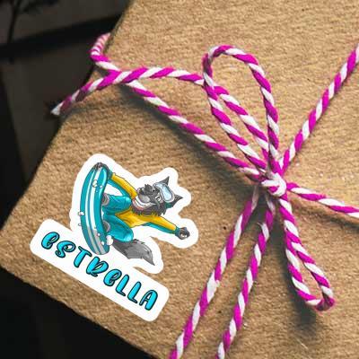 Autocollant Snowboardeur Estrella Notebook Autocollant Snowboardeur Estrella Gift package Image