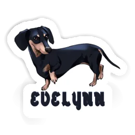 Sticker Evelynn Dachshund Image