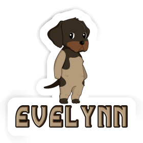 Sticker German Wirehaired Evelynn Image