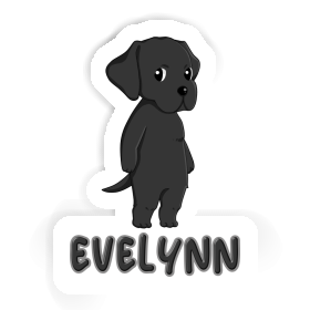 Sticker Evelynn Labrador Retriever Image