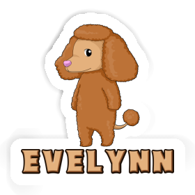 Caniche Autocollant Evelynn Image