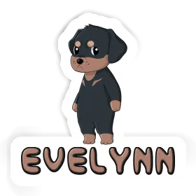 Autocollant Rottweiler Evelynn Image