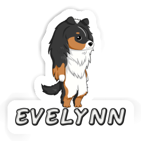 Aufkleber Evelynn Shetland Sheepdog Image