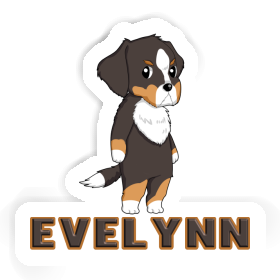 Evelynn Sticker Bernese Mountain Dog Image