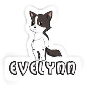 Aufkleber Border Collie Evelynn Image