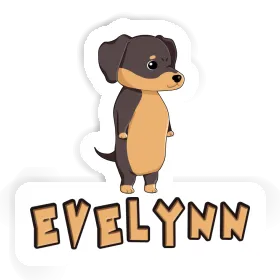 Sticker Evelynn Dachshund Image