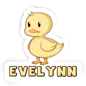 Autocollant Canard Evelynn Image