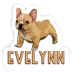 Autocollant Bulldog français Evelynn Image