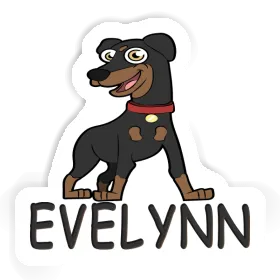 Evelynn Sticker German Pinscher Image