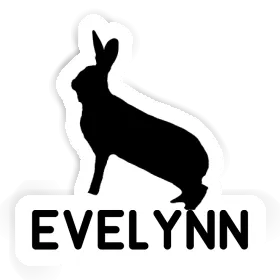 Autocollant Evelynn Lapin Image