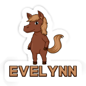 Cheval Autocollant Evelynn Image