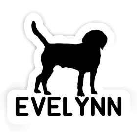 Autocollant Chien Evelynn Image