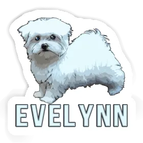 Malteserhund Aufkleber Evelynn Image