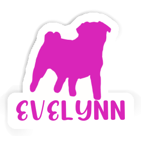 Sticker Pug Evelynn Image