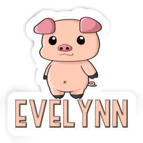 Evelynn Sticker Pigg Image