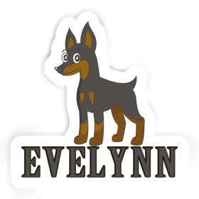 Evelynn Sticker Pinscher Image