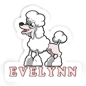 Caniche Autocollant Evelynn Image