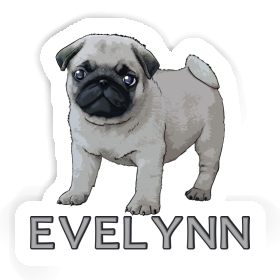 Sticker Pug Evelynn Image