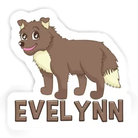 Sticker Sheepdog Evelynn Image