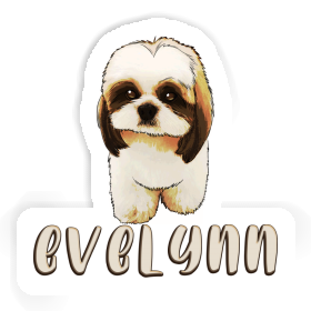 Evelynn Sticker Shih Tzu Image