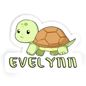 Sticker Evelynn Schildkröte Image