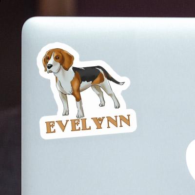 Evelynn Sticker Beagle Hund Laptop Image