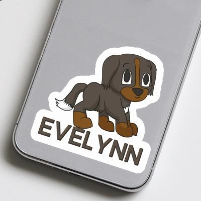 Evelynn Sticker Bernese Dog Image