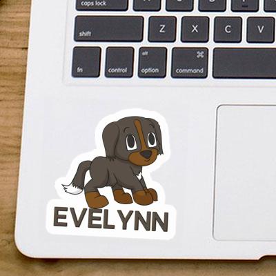 Evelynn Sticker Bernese Dog Gift package Image