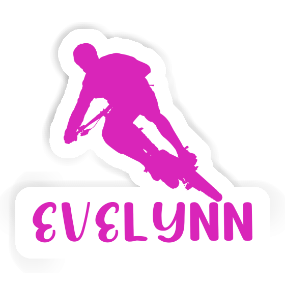 Evelynn Sticker Biker Gift package Image