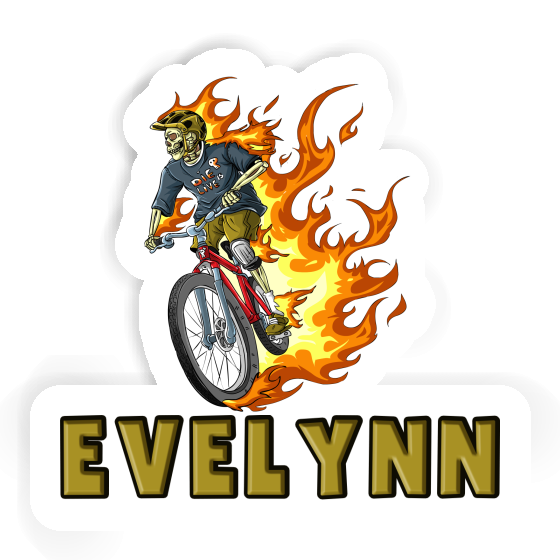 Biker Freeride Autocollant Evelynn Gift package Image