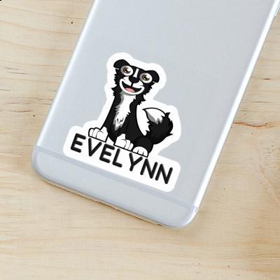 Border Collie Autocollant Evelynn Gift package Image