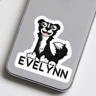 Evelynn Sticker Border Collie Gift package Image