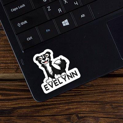 Border Collie Sticker Evelynn Notebook Image