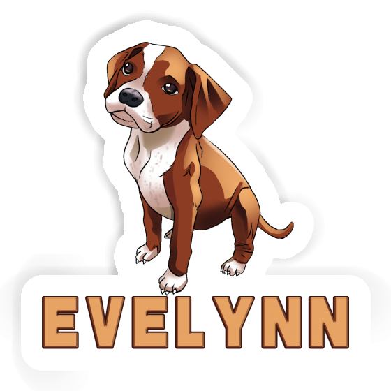 Boxerhund Aufkleber Evelynn Gift package Image