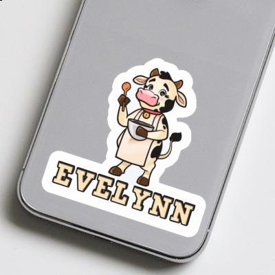 Cook Sticker Evelynn Gift package Image