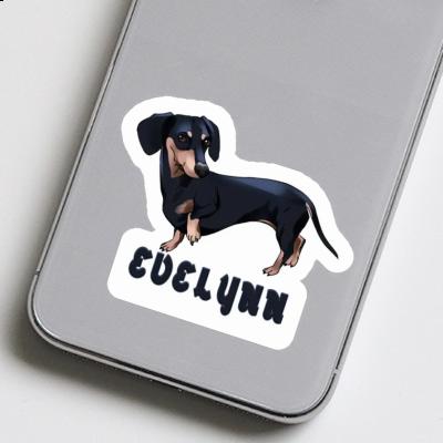 Sticker Evelynn Dachshund Image